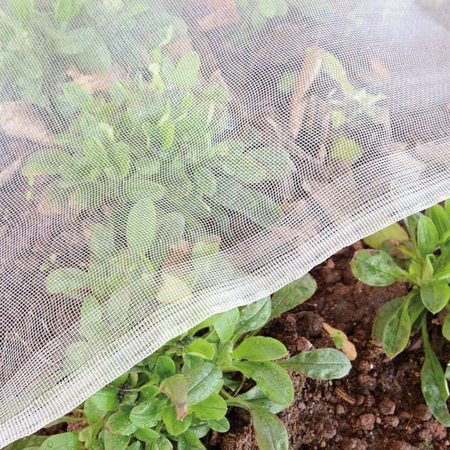 Detalle de Garden insect netting 1.5x5m