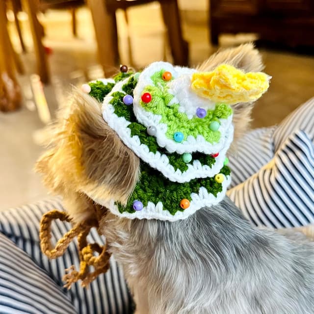 Thumbnail 4 de YorkieGogo Weihnachtsbaummütze für XXS Haustiere