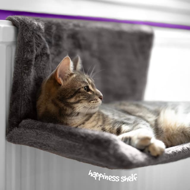 Thumbnail 6 de Petlicity Warm and Cosy Radiator Bed 25cm