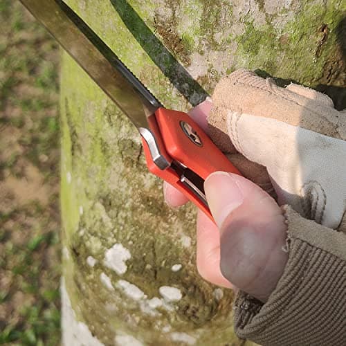 Thumbnail 5 de Harnds Navaja plegable Castor CK6118 con hoja AUS-8 y mango G10, 123 g, naranja