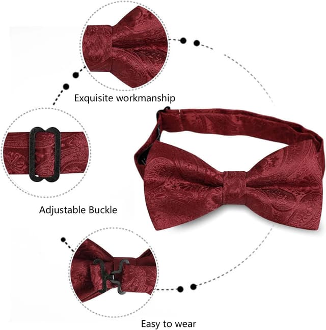 Detalle de Alizeal Mens Paisley Bow Tie Set