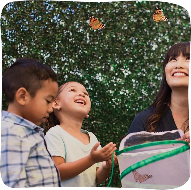 Detalle 2 de Insect Lore The Butterfly Garden kit for live butterflies (growing 5 caterpillars)