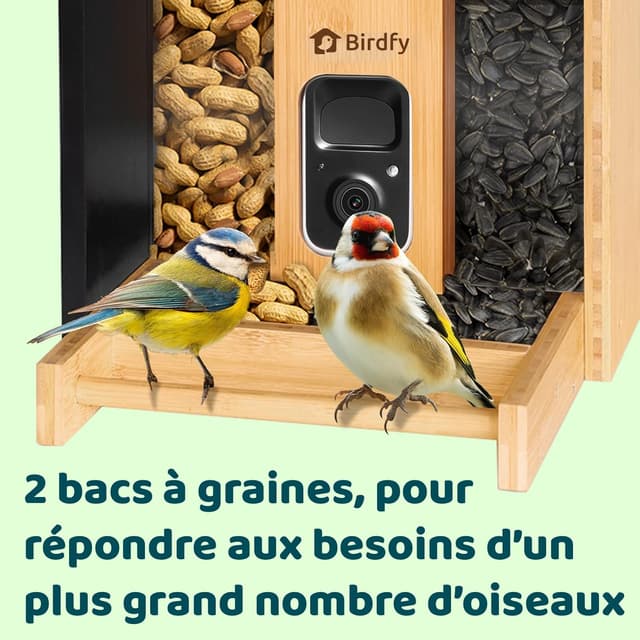 Thumbnail 4 de Netvue by Birdfy Mangeoire oiseaux 1,9 L