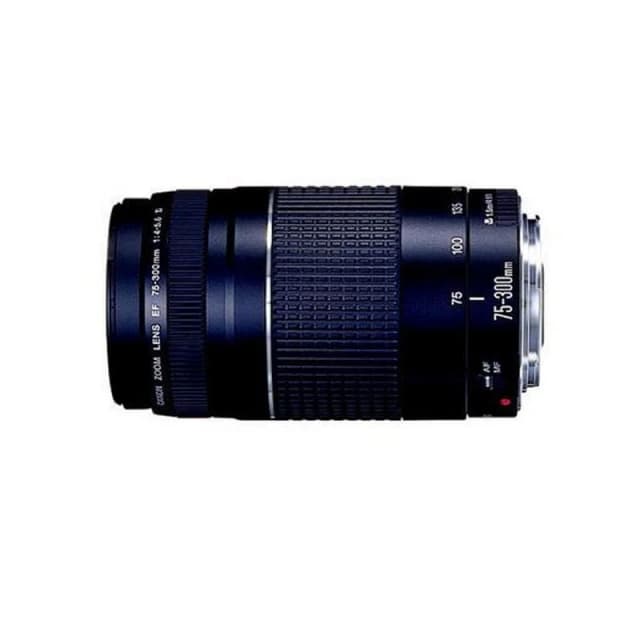 Detalle de Canon EF 75-300mm F4-5.6 III objetivo para telefoto