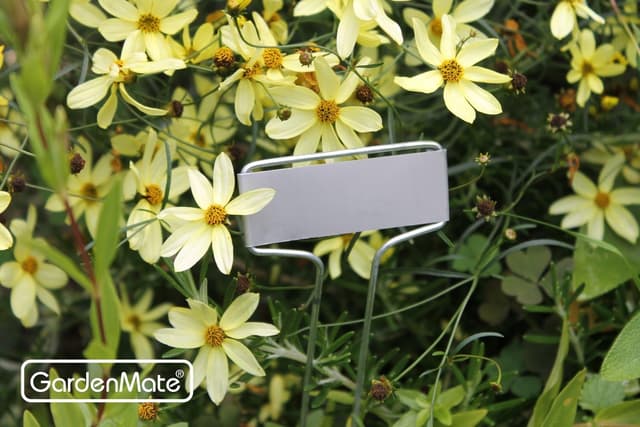 Detalle de GardenMate étiquettes plantes métal 25