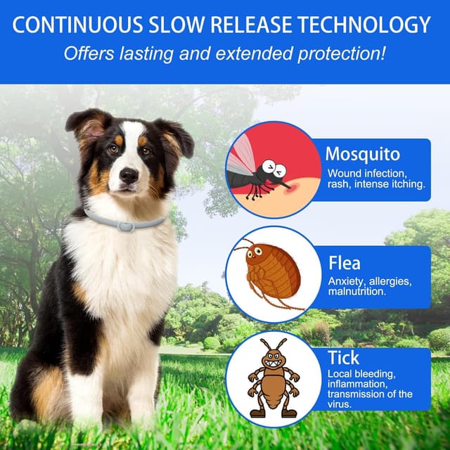 Imagen de Collari antipulci per cani 24 mesi en OfertitasTOP