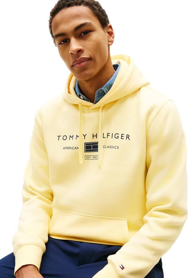 Detalle de Tommy Hilfiger Brand Love TR Mono Stack Hoody con cappuccio da uomo