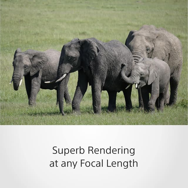 Thumbnail 4 de Sony SEL70350G 70–350mm OSS