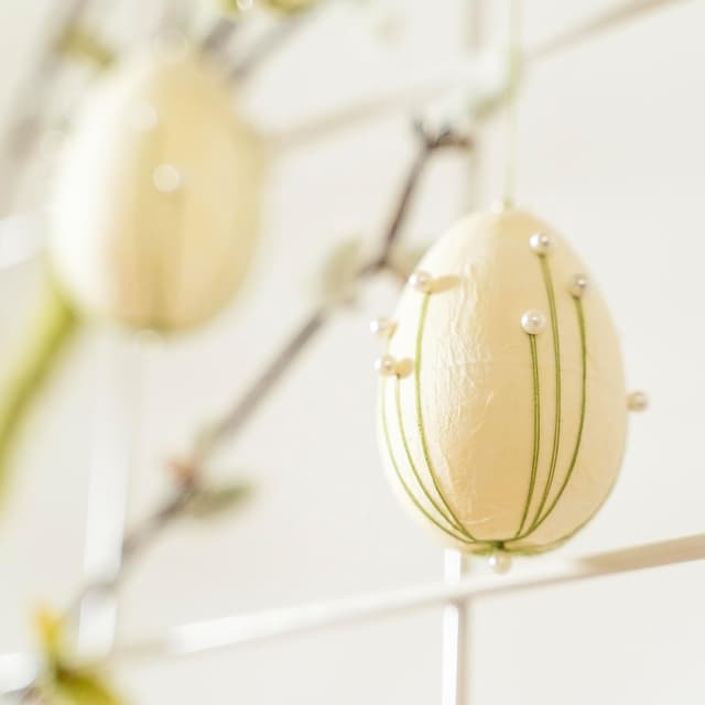 Detalle 2 de MCE-Commerce A336050-2 œufs polystyrène 6 cm 50 pcs