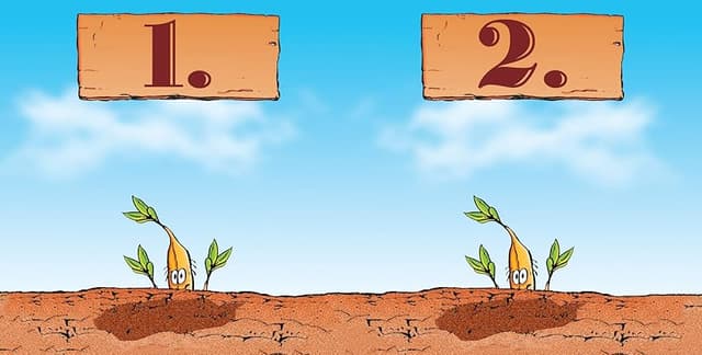 Detalle de Amigo 01661 Bohnanza — juego de mesa en alemán 🎲