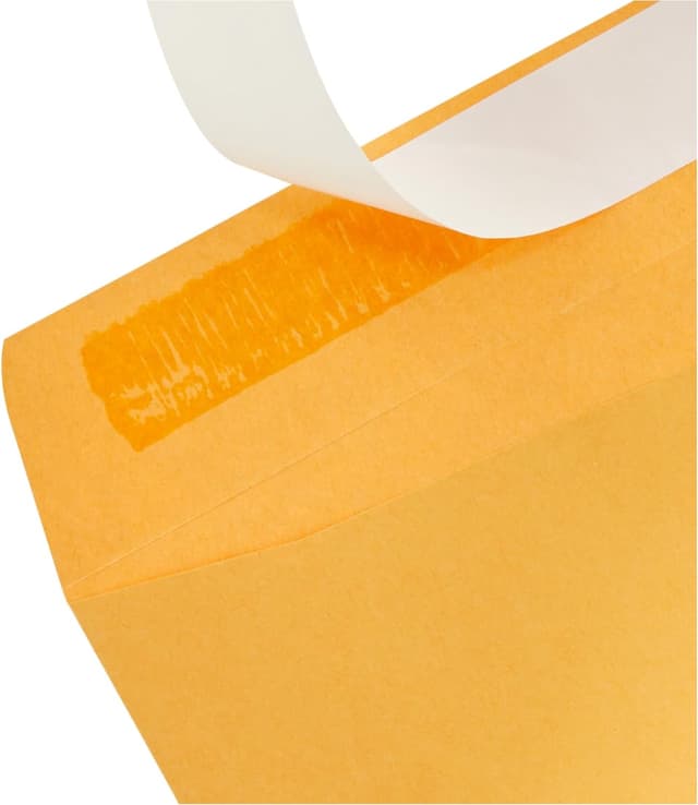 Detalle de Amazon Basics 6 x 9 Catalog Mailers, 100 pack ✉