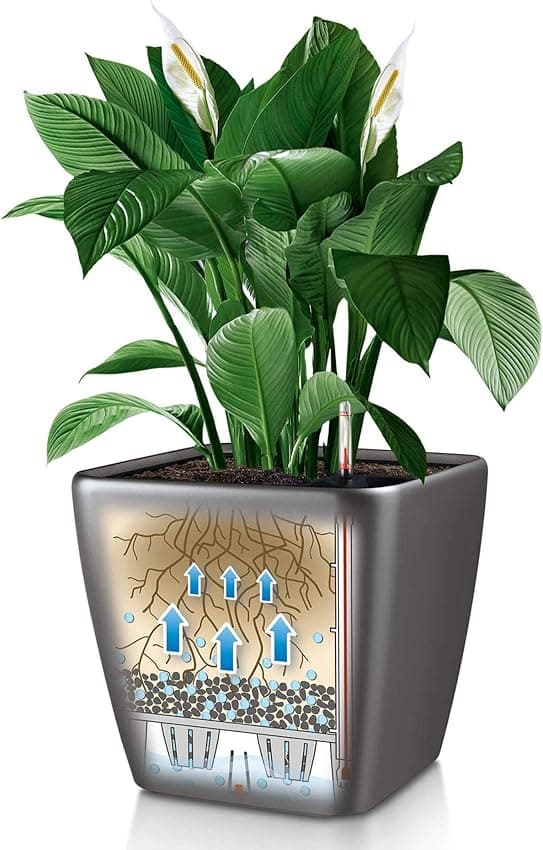 Thumbnail 5 de Lechuza 16149 Maceta Quadro Premium 28 LS 🌿 Kit Completo