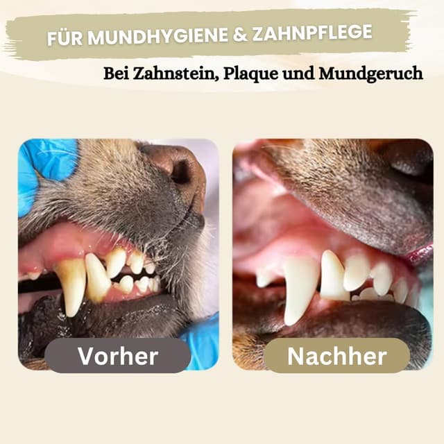 Detalle de Zahnpflege Pulver für Hunde 300 g