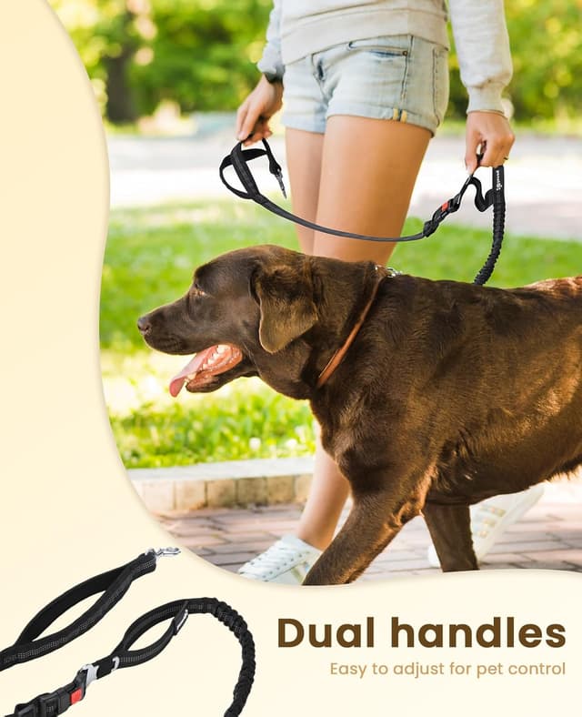 Detalle de Pecute Hundeleine mit Tasche – Hüftgurt mit Pads, stoßdämpfendem Bungee und reflektierenden Streifen