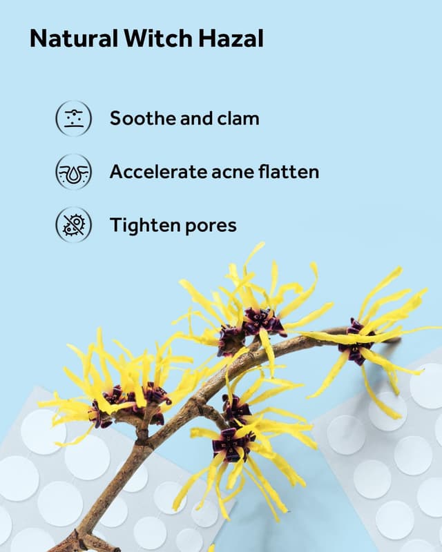 Thumbnail 5 de LitBear Acne Pimple Patches 588 Dots