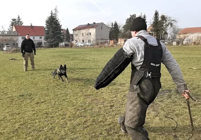 Thumbnail 5 de Dingo Gear Schutzarm Extern Hard Nylcot