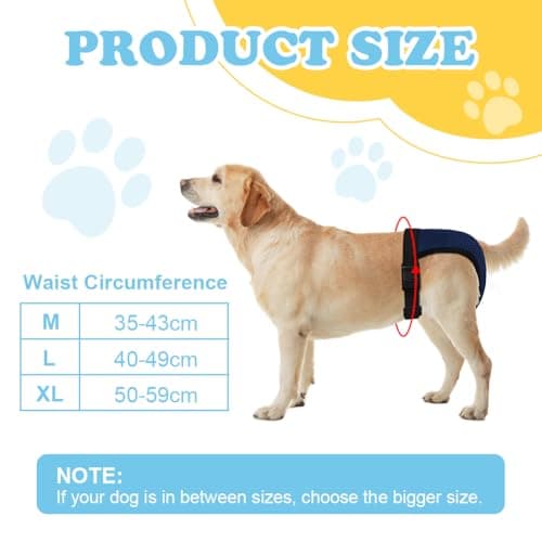 Thumbnail 1 de Aomig Pannolini per cani femmina Riutilizzabili M con 6 cuscinetti