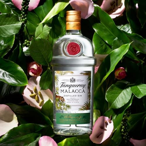 Thumbnail 1 de Tanqueray Malacca 1 l ginebra 🍸