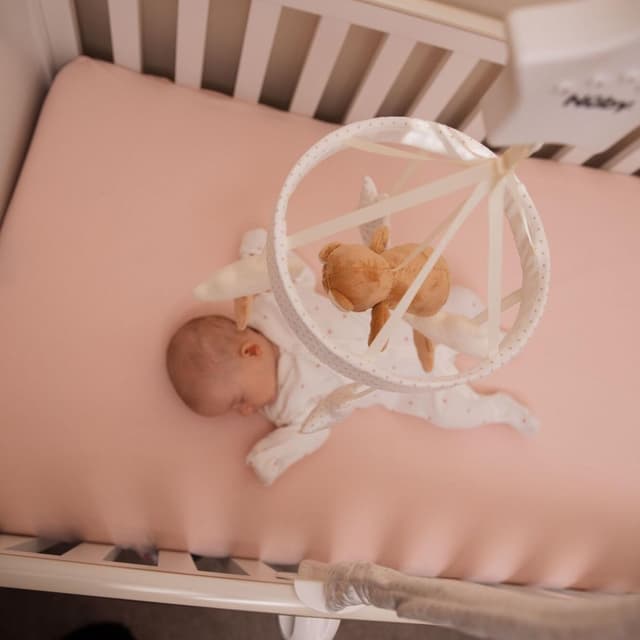 Thumbnail 5 de Nuby Biscuit l’Ours mobile musical