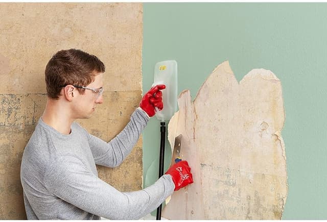 Detalle 2 de WAGNER SteamForce Dampftapetenablöser 4 l