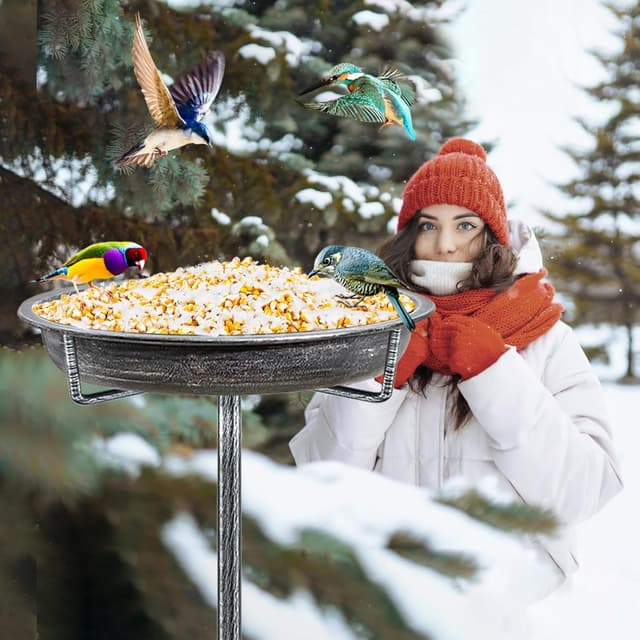 Thumbnail 6 de KHayRovies Bird Bath Outdoor Metal Stand