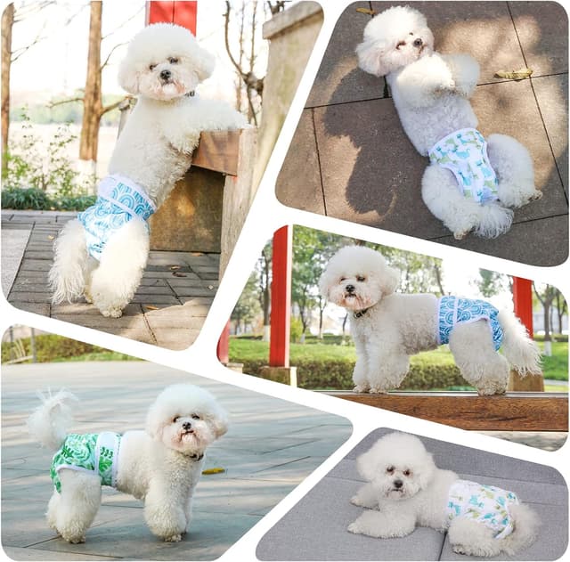 Thumbnail 6 de Demigreat Läufigkeitshose für Hündinnen (3er-Pack) S – größenverstellbar, hochsaugfähig, grüne Blätter