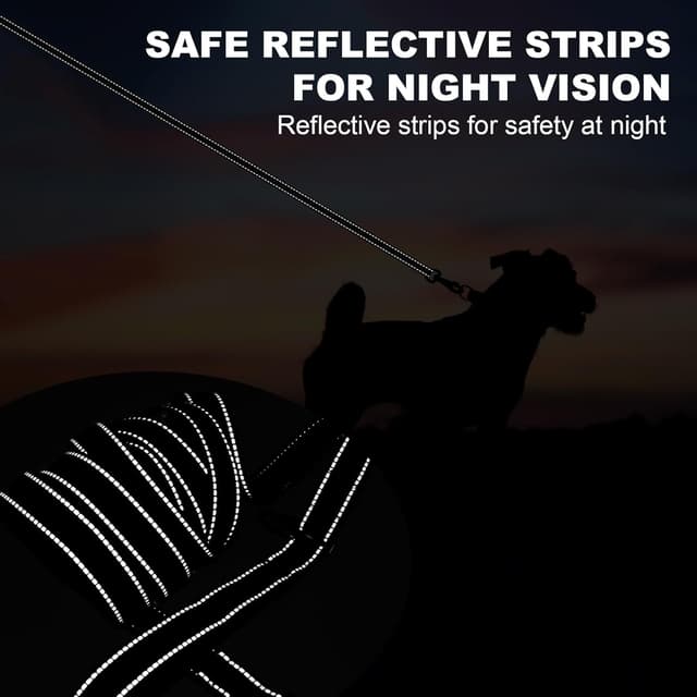 Thumbnail 4 de Longe pour Chien Dressage 3M–30M