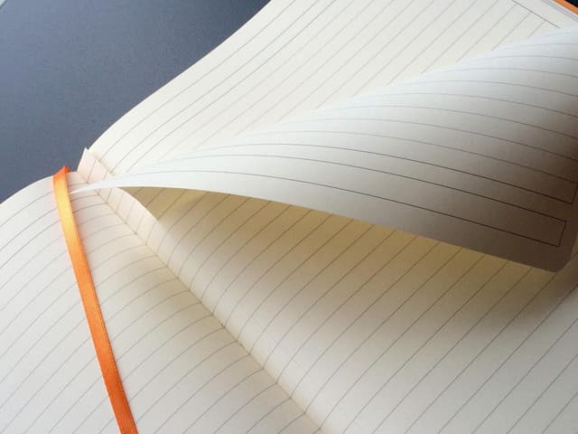 Detalle 2 de Rhodia Rhodiarama Notizbuch 117714C in DIN A4+ (tangerine) mit weichem Deckel, 80 Blatt