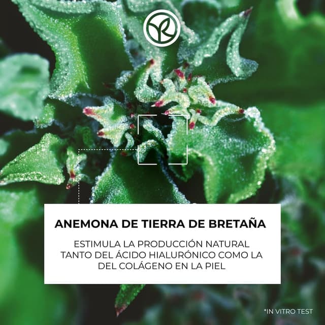 Thumbnail 2 de Yves Rocher LIFT PRO-COLLAGÈNE Concentrado Antiarrugas 🌟 30ml