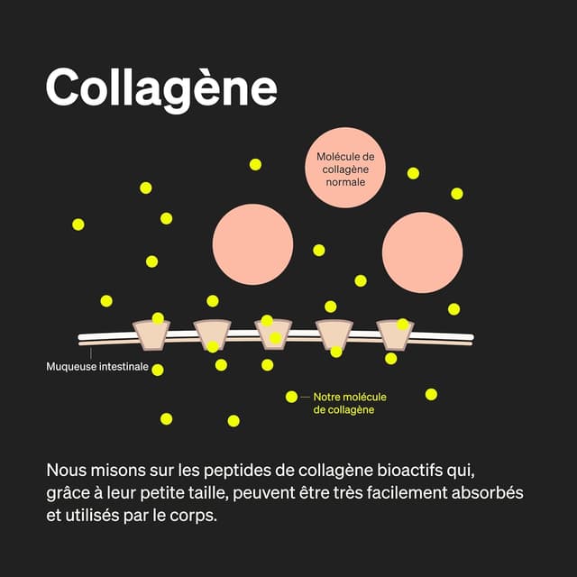 Detalle de Collagène & Acide Hyaluronique – 180 gélules enrichies en vitamine C, biotine, zinc & sélénium