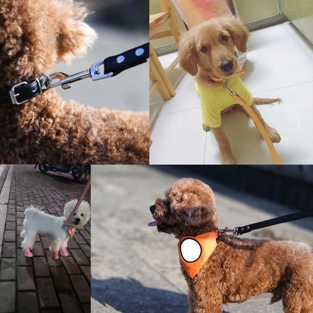 Detalle de PU Leather Dog Lead in Orange (1.5cm x 120cm) with Metal Hook Buckle