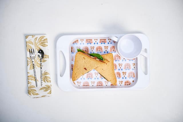 Detalle 1 de Dog lightweight melamine snack tray 33.8cm