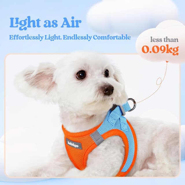 Detalle de rabbitgoo Step-in Soft Mesh Dog Harness & Leash Set (Blue & Orange) – Small Size S
