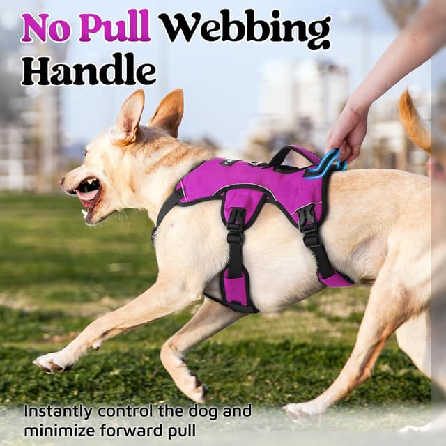 Detalle de rabbitgoo Escape-Proof Dog Harness (Large, Purple) with Lift Handle and Reflective Trim