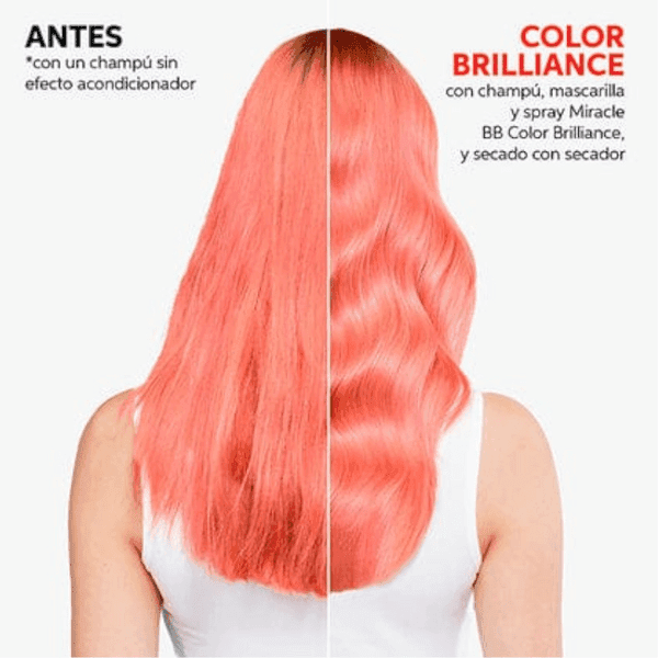 Detalle 2 de Wella Invigo Color Brilliance Champú para cabello grueso 1 L
