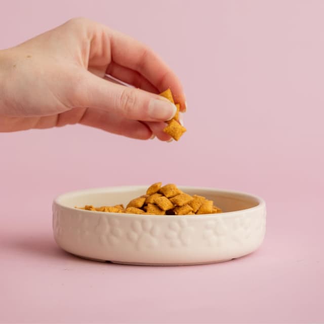 Detalle 2 de Mason Cash Color Mix Creme Katzen-Untertasse 13 cm – robuste Gres-Untertasse für Futter & Pflege