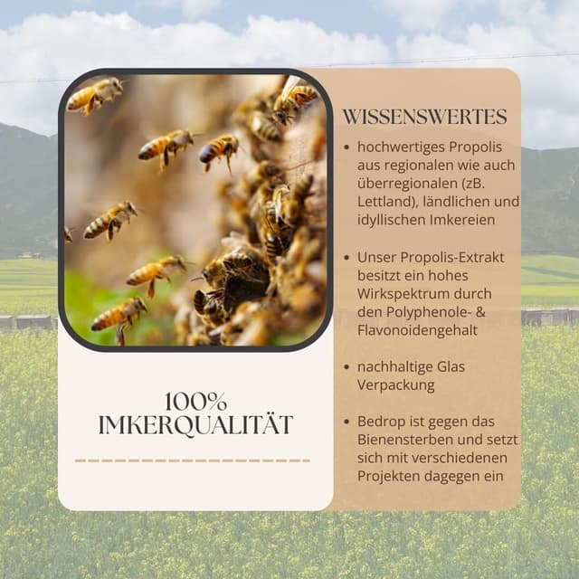 Thumbnail 6 de bedrop Propolis Cream bei Akne Neurodermitis 60 g