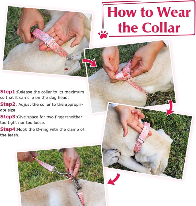 Thumbnail 3 de Chain Dog Collar Heavy Duty Martingale