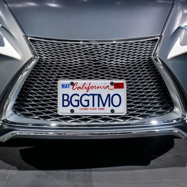 Thumbnail 4 de BGGTMO License Plate Bracket Holder 6x12