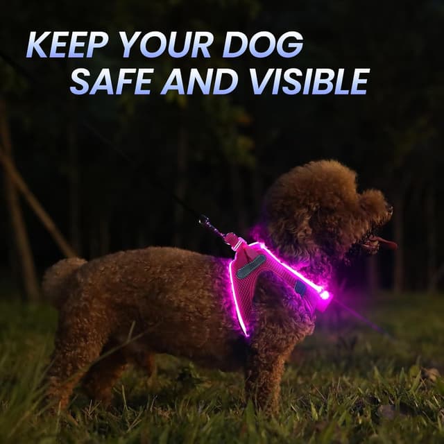 Thumbnail 2 de Light Up Dog Harness with Rechargeable LED (Waterproof, Reflective) – Pink XS