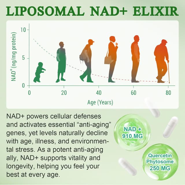 Detalle de Liposomale NAD+ Kapseln 910 mg – NAD Booster 💊