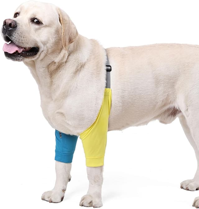 Thumbnail 6 de Gelenkschutz Vorderbeine 3XL Blau