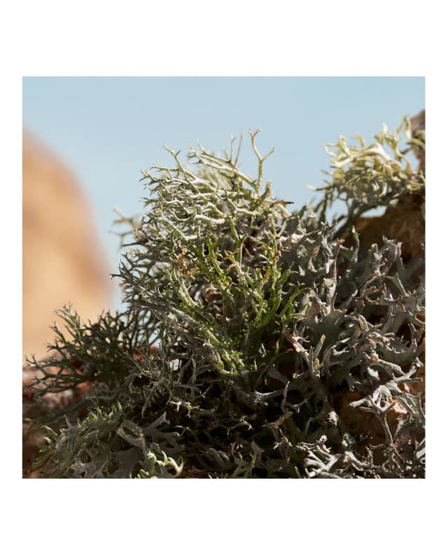 Thumbnail 5 de Dolce & Gabbana Q by Dolce&Gabbana Elixir 50 ml