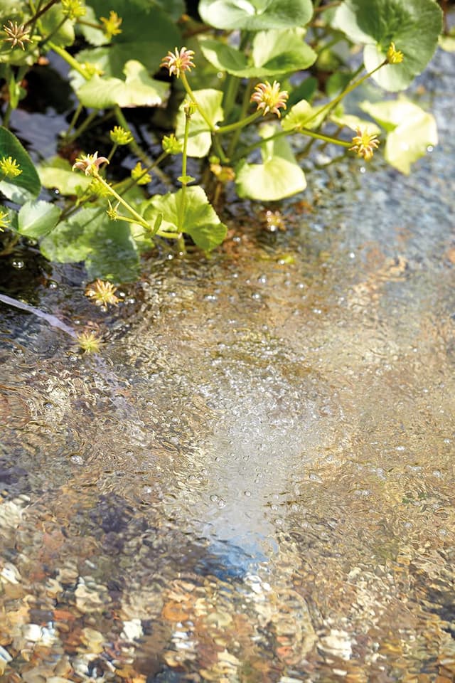 Detalle 1 de OASE AquaOxy 1000 Teichbelüfter