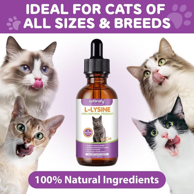 Detalle de L-Lysin Tropfen für Katzen gegen Katzenschnupfen – Unterstützung bei Schnupfen, Niesen & Immunsystem