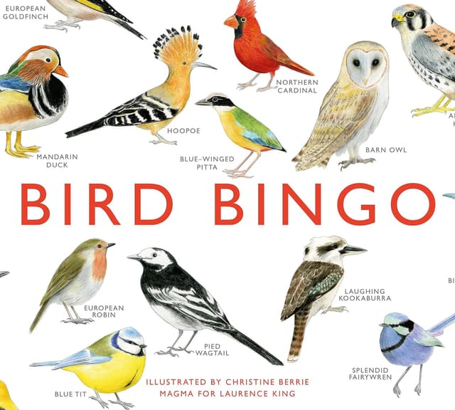 Imagen de Laurence King Bird Bingo en OfertitasTOP