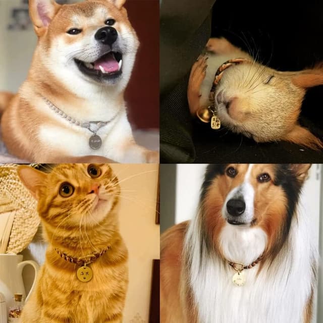 Detalle de NanTun round aluminium blank dog tags (DIY engraved) – 30 pack