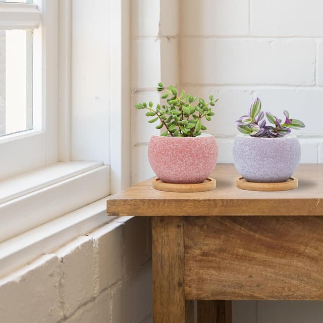 Thumbnail 4 de Thriving Thicket 3" Ceramic Succulent Pots, 6-Pack 🌱