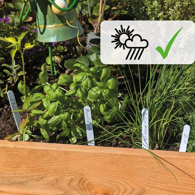 Detalle 2 de com-four® confezione da 100 etichette per piante con matita, a innesto da 12 cm (bianco)