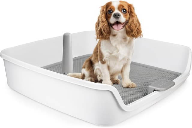 Detalle de All For Paws Indoor Dog Potty Tray with Removable Post & Protection Wall (63 x 63 cm) – Large Mesh Grid Pee Pad Holder